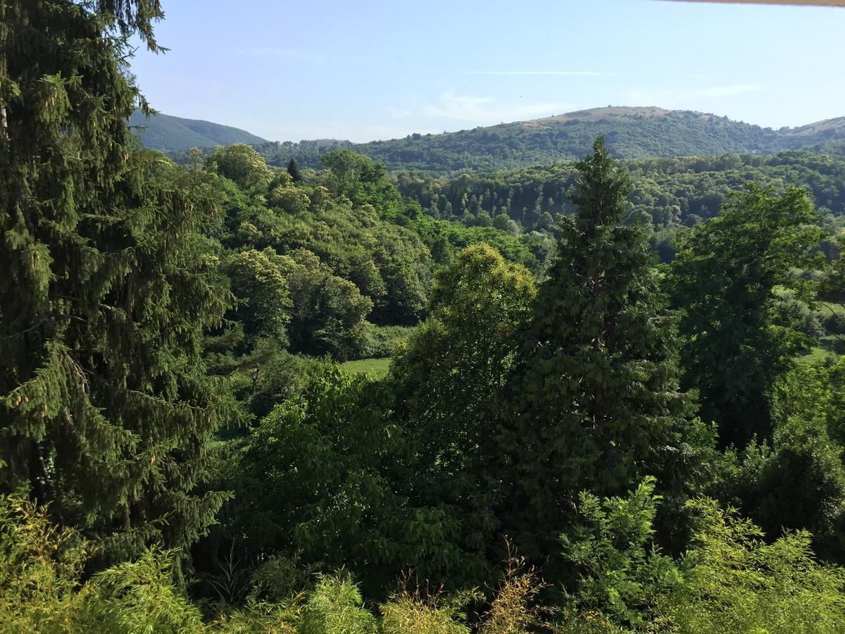 Hotel Ludovici Fiuggi Dış mekan fotoğraf